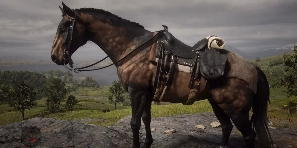 red-dead-redemption-1-horse-rankings-from-trash-to-treasure-in-2026-image-6