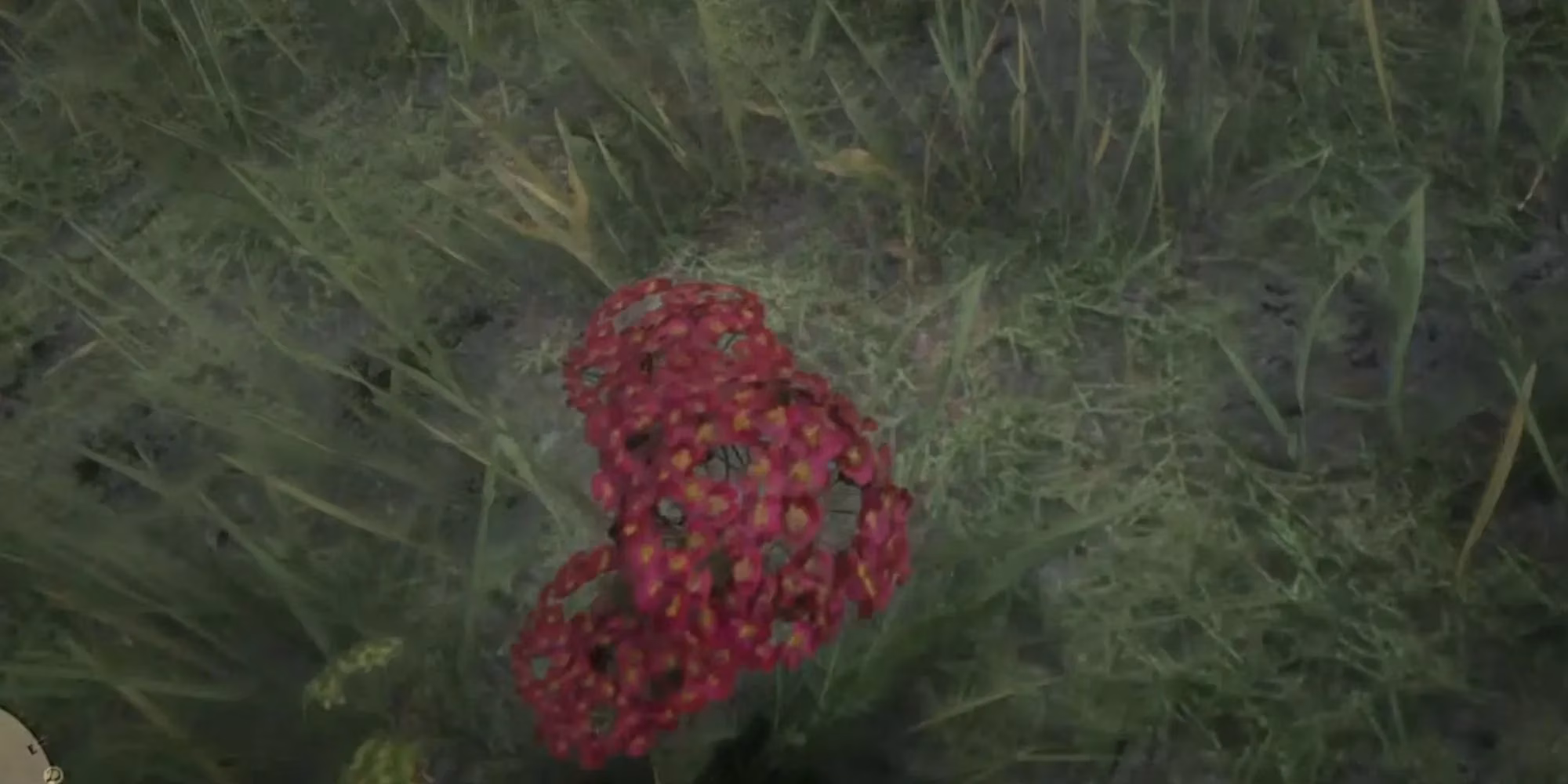 top-herbs-and-plants-in-red-dead-redemption-2-a-2025-gamer-s-guide-image-7