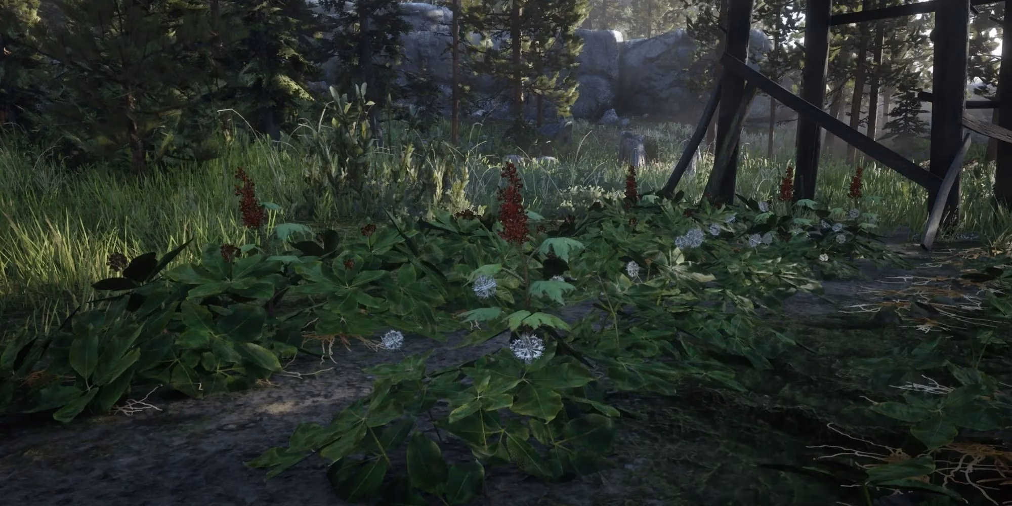 top-herbs-and-plants-in-red-dead-redemption-2-a-2025-gamer-s-guide-image-8